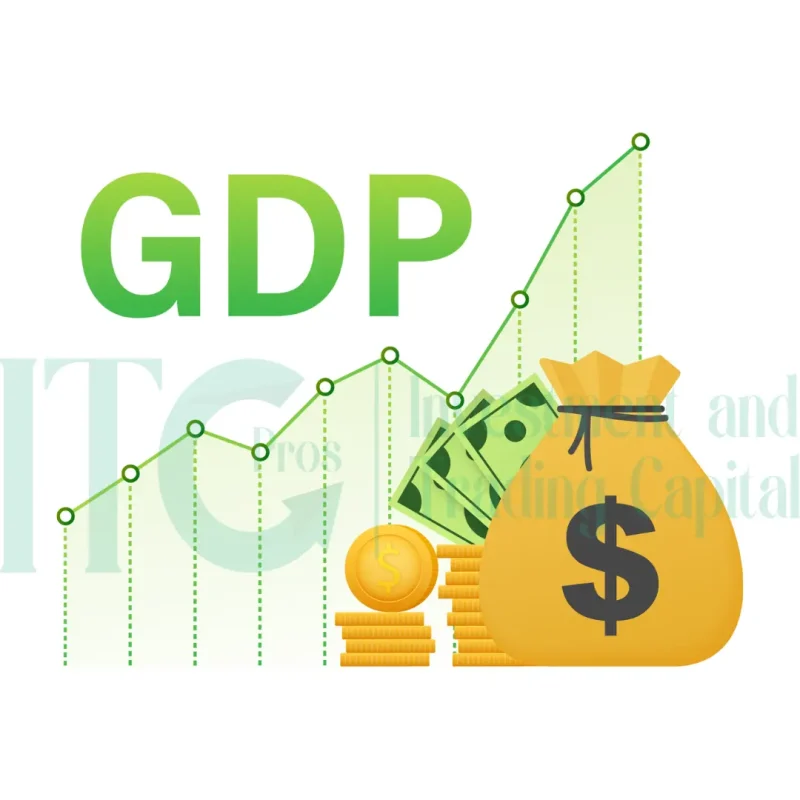 التعليم - Investment and Trading Capital - 50