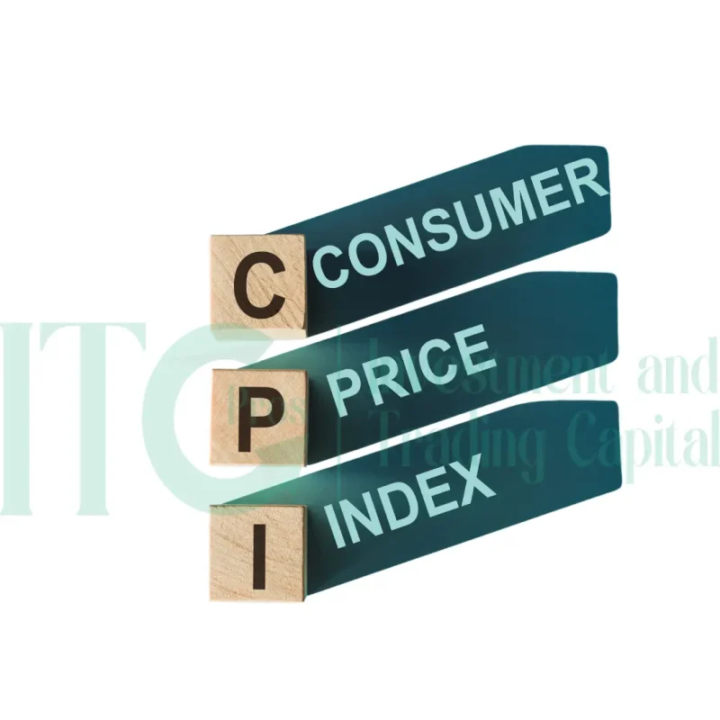 التعليم - Investment and Trading Capital - 51