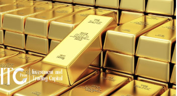 التعليم - Investment and Trading Capital - photo 2025 04 17 10 04 47